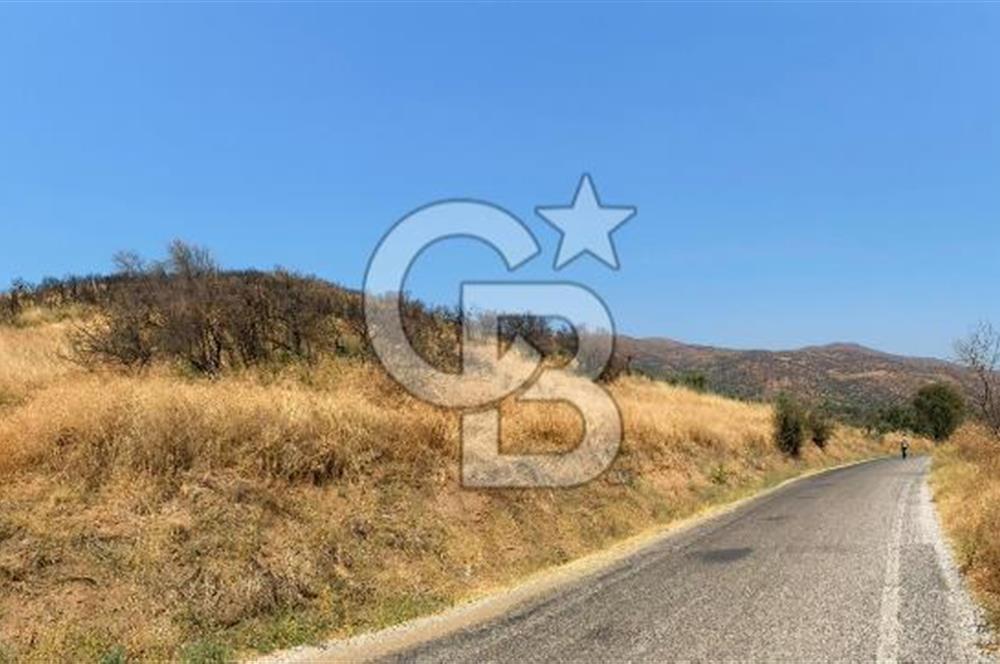 İZMİR ÖDEMİŞ'TE SATILIK 4840 M2 ARAZİ