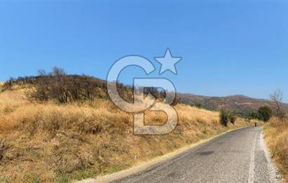 İZMİR ÖDEMİŞ'TE SATILIK 4840 M2 ARAZİ