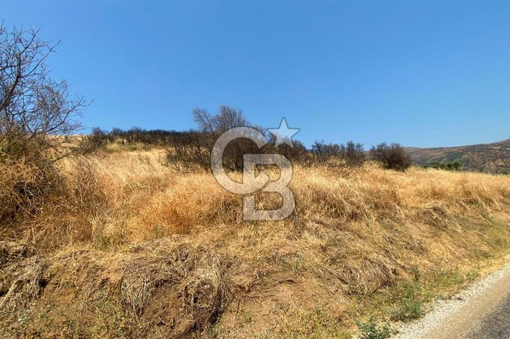 İZMİR ÖDEMİŞ'TE SATILIK 4840 M2 ARAZİ