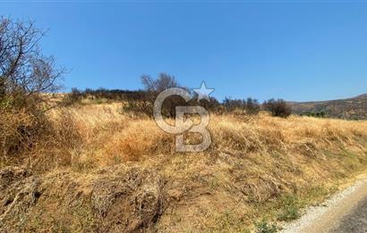 İZMİR ÖDEMİŞ'TE SATILIK 4840 M2 ARAZİ