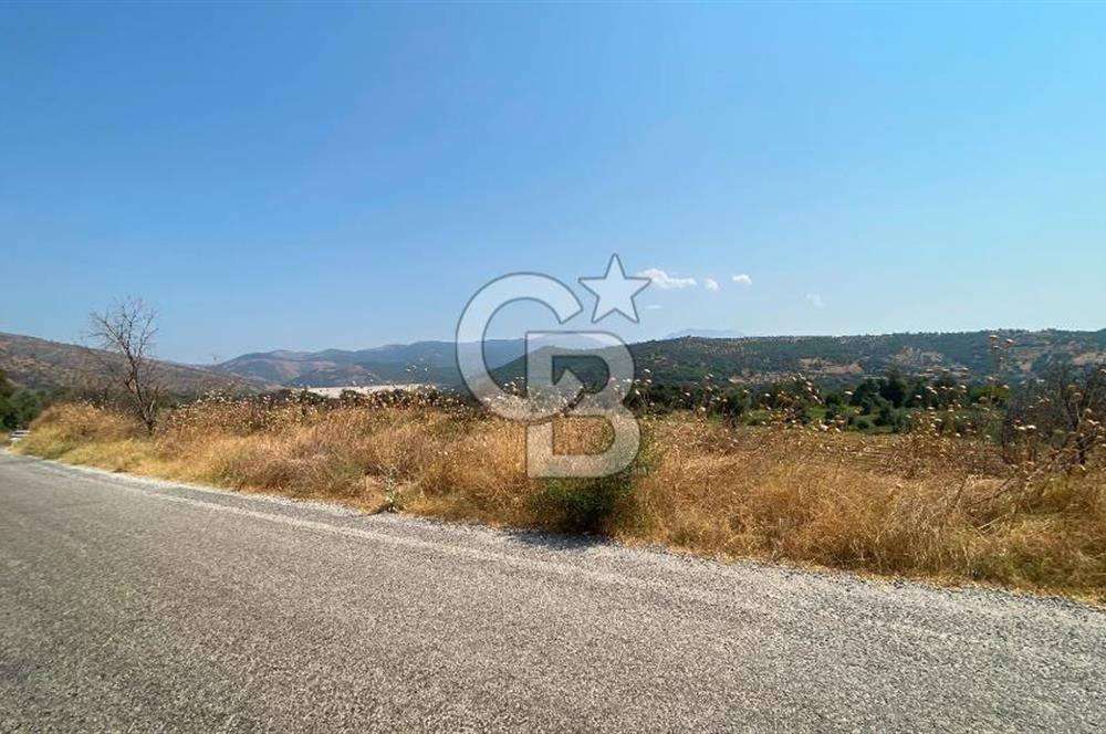 İZMİR ÖDEMİŞ'TE SATILIK 4840 M2 ARAZİ