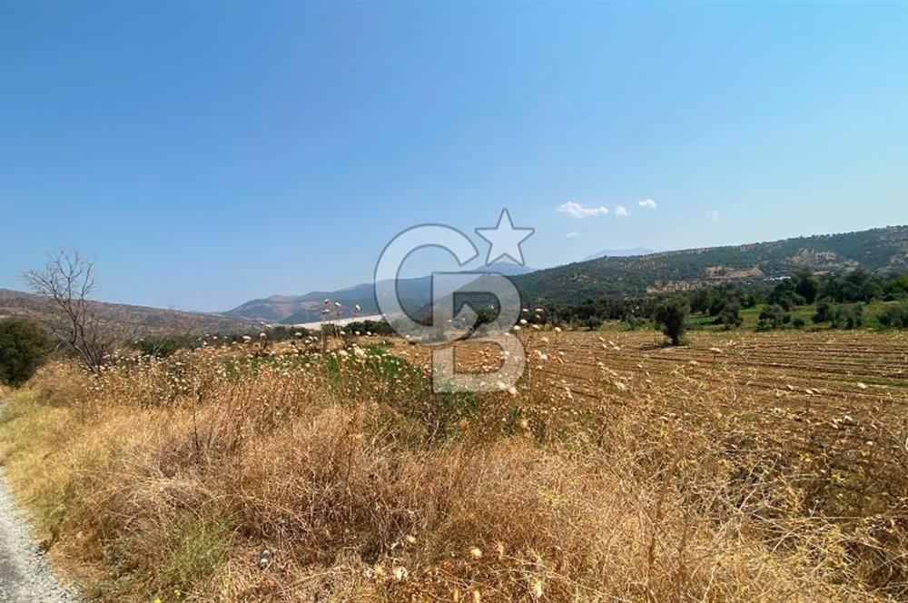 İZMİR ÖDEMİŞ'TE SATILIK 4840 M2 ARAZİ