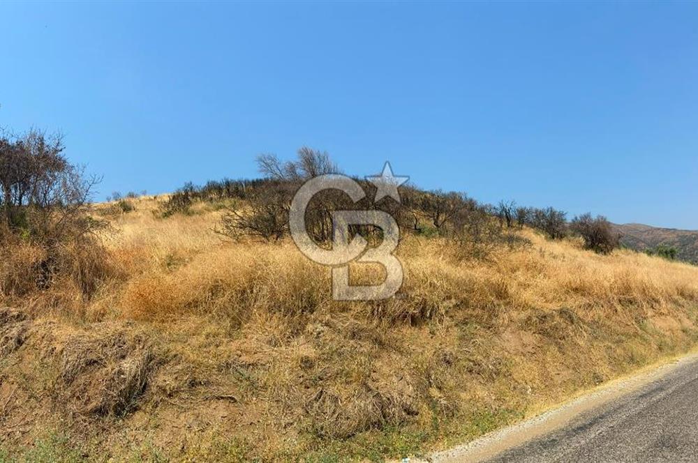 İZMİR ÖDEMİŞ'TE SATILIK 4840 M2 ARAZİ