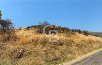 İZMİR ÖDEMİŞ'TE SATILIK 4840 M2 ARAZİ
