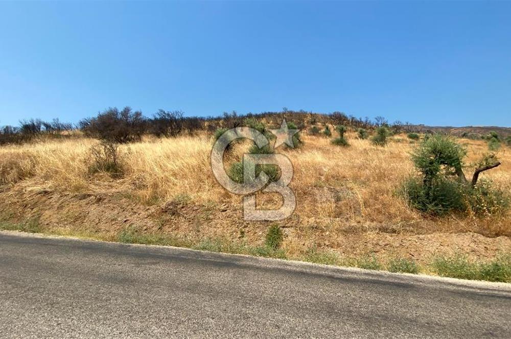 İZMİR ÖDEMİŞ'TE SATILIK 4840 M2 ARAZİ