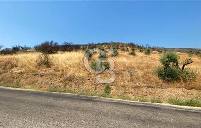 İZMİR ÖDEMİŞ'TE SATILIK 4840 M2 ARAZİ