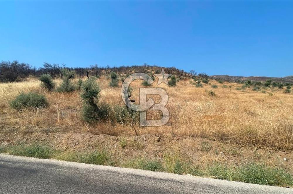 İZMİR ÖDEMİŞ'TE SATILIK 4840 M2 ARAZİ