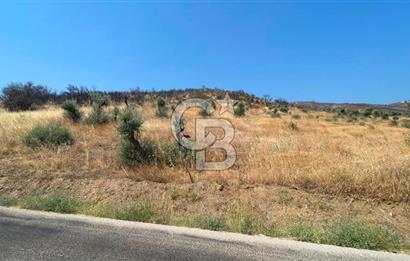 İZMİR ÖDEMİŞ'TE SATILIK 4840 M2 ARAZİ
