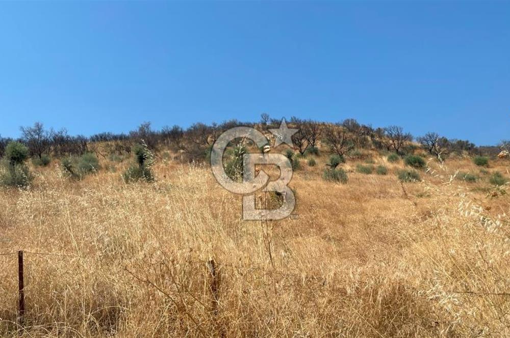 İZMİR ÖDEMİŞ'TE SATILIK 4840 M2 ARAZİ