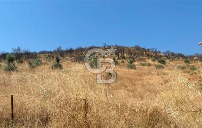 İZMİR ÖDEMİŞ'TE SATILIK 4840 M2 ARAZİ