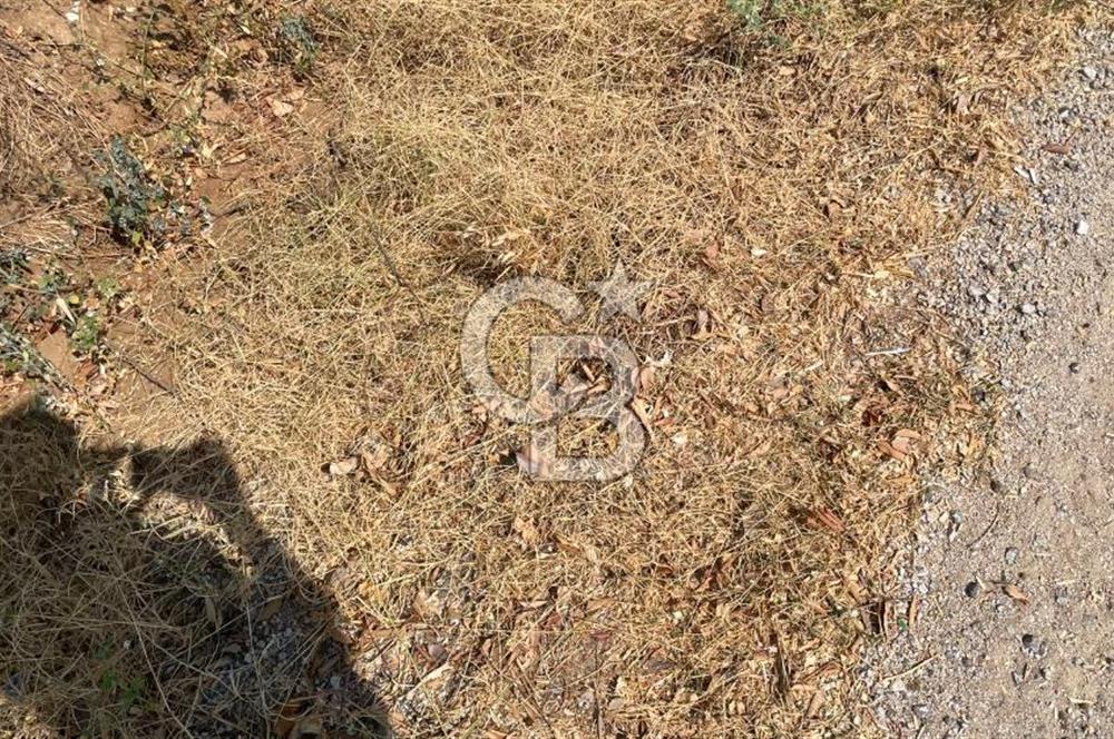 İZMİR ÖDEMİŞ'TE SATILIK 4840 M2 ARAZİ