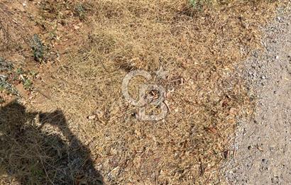 İZMİR ÖDEMİŞ'TE SATILIK 4840 M2 ARAZİ
