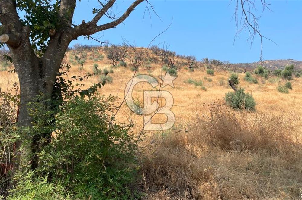 İZMİR ÖDEMİŞ'TE SATILIK 4840 M2 ARAZİ