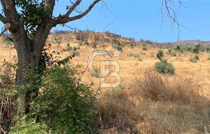 İZMİR ÖDEMİŞ'TE SATILIK 4840 M2 ARAZİ