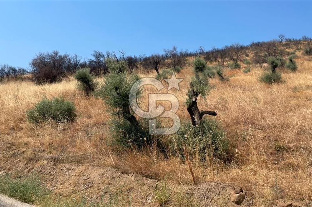 İZMİR ÖDEMİŞ'TE SATILIK 4840 M2 ARAZİ