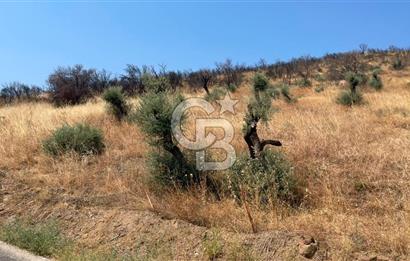 İZMİR ÖDEMİŞ'TE SATILIK 4840 M2 ARAZİ