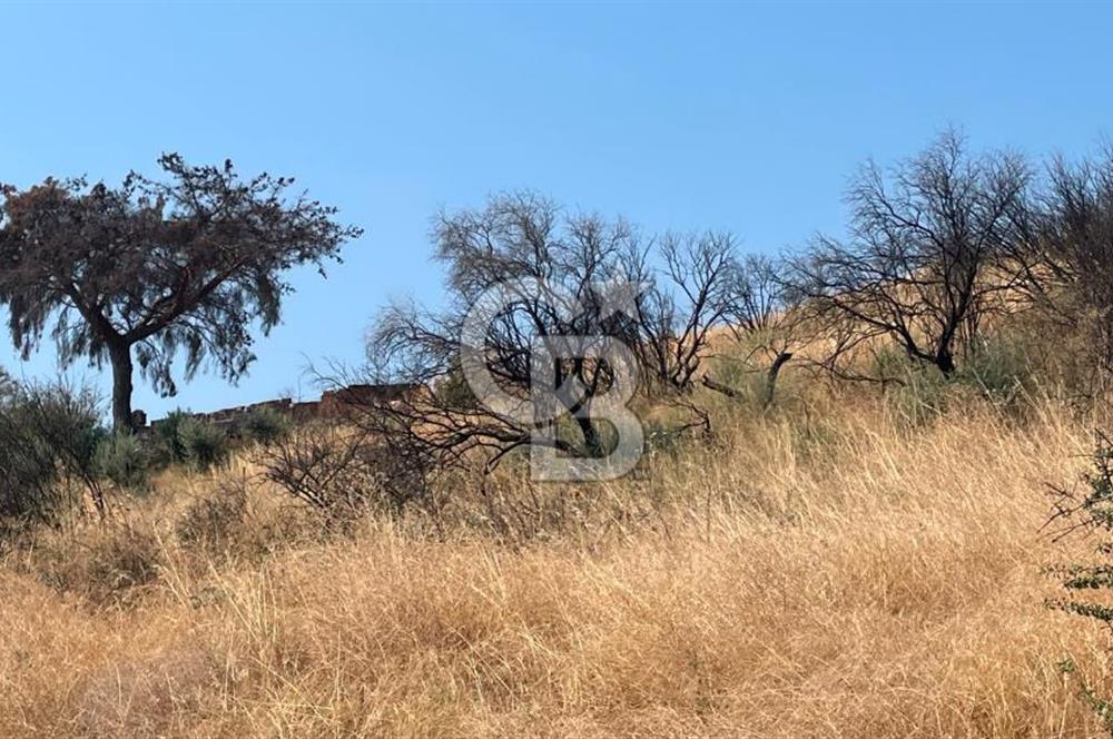 İZMİR ÖDEMİŞ'TE SATILIK 4840 M2 ARAZİ