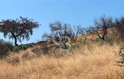 İZMİR ÖDEMİŞ'TE SATILIK 4840 M2 ARAZİ