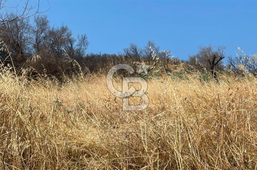 İZMİR ÖDEMİŞ'TE SATILIK 4840 M2 ARAZİ