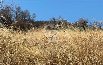 İZMİR ÖDEMİŞ'TE SATILIK 4840 M2 ARAZİ