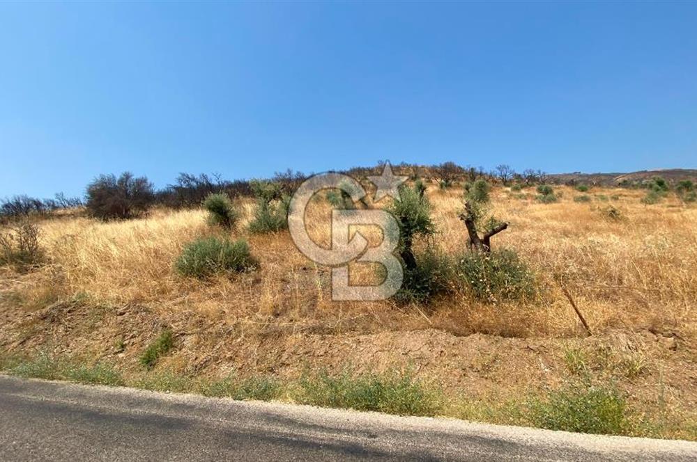 İZMİR ÖDEMİŞ'TE SATILIK 4840 M2 ARAZİ
