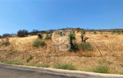 İZMİR ÖDEMİŞ'TE SATILIK 4840 M2 ARAZİ