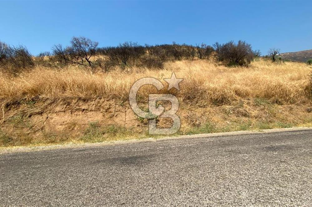 İZMİR ÖDEMİŞ'TE SATILIK 4840 M2 ARAZİ