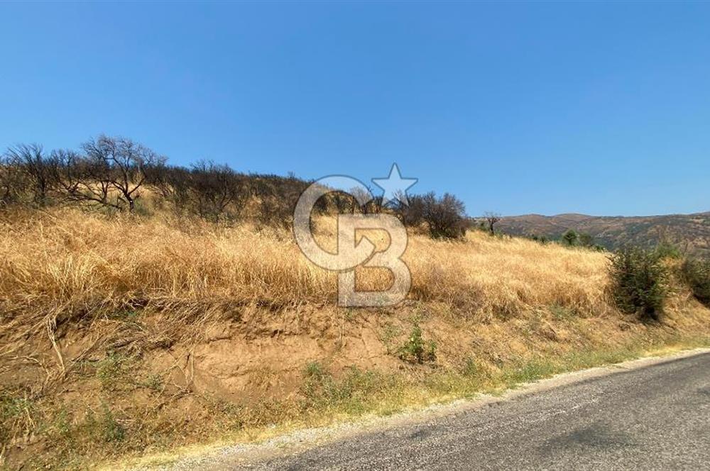 İZMİR ÖDEMİŞ'TE SATILIK 4840 M2 ARAZİ