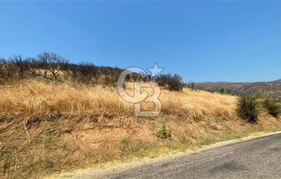İZMİR ÖDEMİŞ'TE SATILIK 4840 M2 ARAZİ