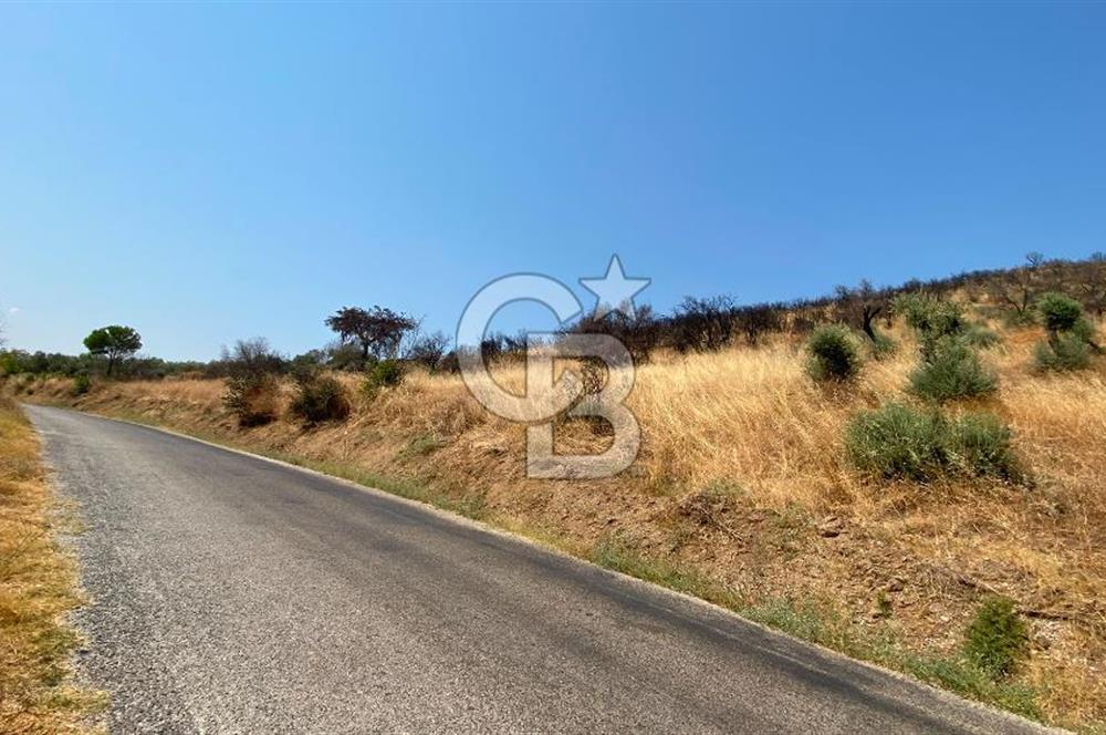 İZMİR ÖDEMİŞ'TE SATILIK 4840 M2 ARAZİ