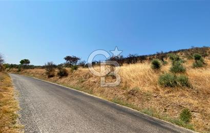 İZMİR ÖDEMİŞ'TE SATILIK 4840 M2 ARAZİ