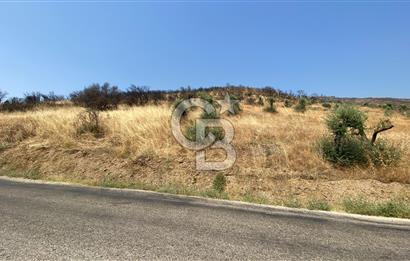 İZMİR ÖDEMİŞ'TE SATILIK 4840 M2 ARAZİ