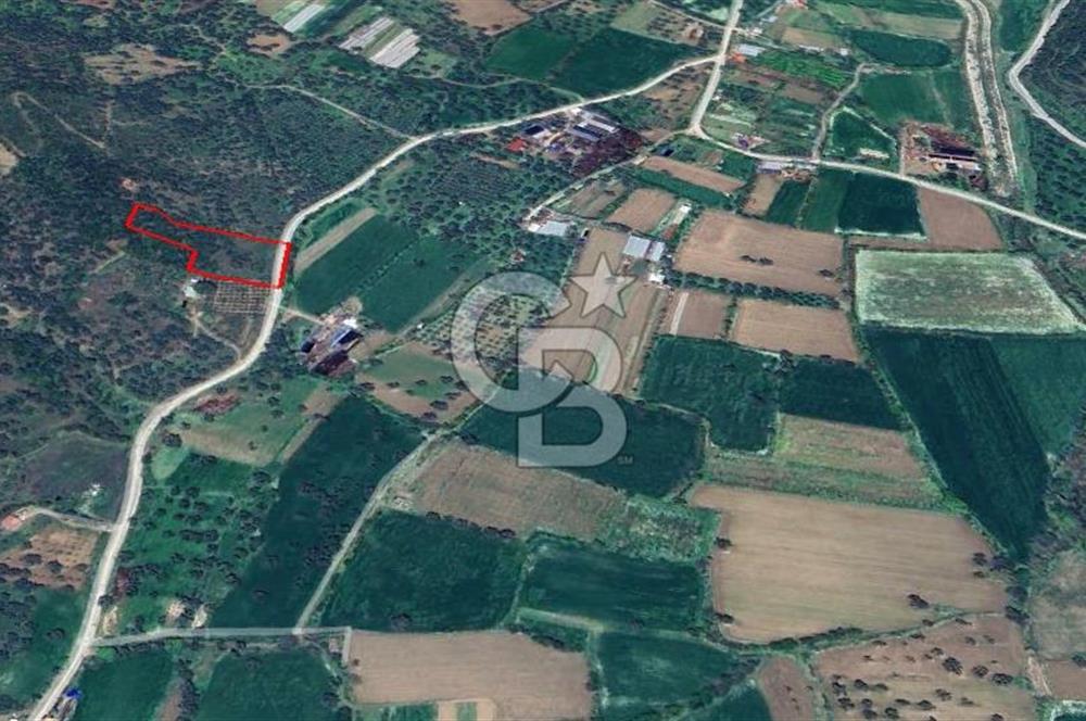 İZMİR ÖDEMİŞ'TE SATILIK 4840 M2 ARAZİ