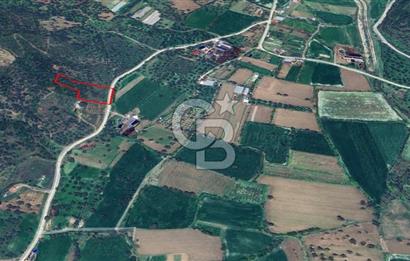 İZMİR ÖDEMİŞ'TE SATILIK 4840 M2 ARAZİ