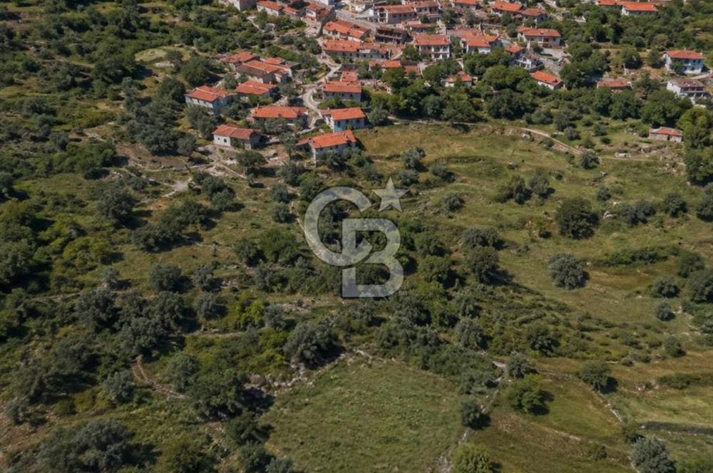 Antalya Akseki Güneykaya'da Satılık Bahçe
