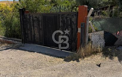 Ankara Bala Beynam Satılık 5 Milyon TL Tarla