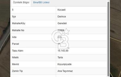 DERİNCE GEREDELİ'DE 15 DÖNÜM YOLA CEPHELİ SATILIK TARLA