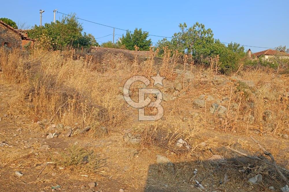 İzmir Bergama Köy Merkezi İmarlı Değerli Ve Fırsat 600 M2 Arsa