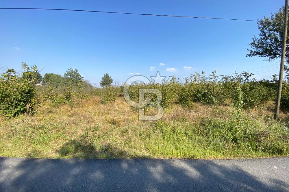 HENDEK AKOVA'DA YÜKSEK YAPILAŞMA HAKKI /800M2/ %30/ 4 KAT İMAR