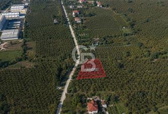 HENDEK AKOVA'DA YÜKSEK YAPILAŞMA HAKKI /800M2/ %30/ 4 KAT İMAR - 1 - 369345