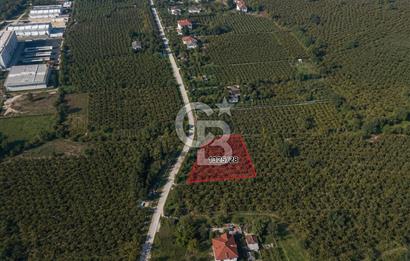 HENDEK AKOVA'DA YÜKSEK YAPILAŞMA HAKKI /800M2/ %30/ 4 KAT İMAR