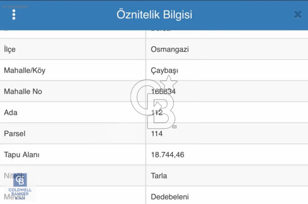 CB BLACK'TEN OSMANGAZİ ÇAYBAŞIN'DA SATILIK FIRSAT ARAZİ