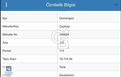 CB BLACK'TEN OSMANGAZİ ÇAYBAŞIN'DA SATILIK FIRSAT ARAZİ