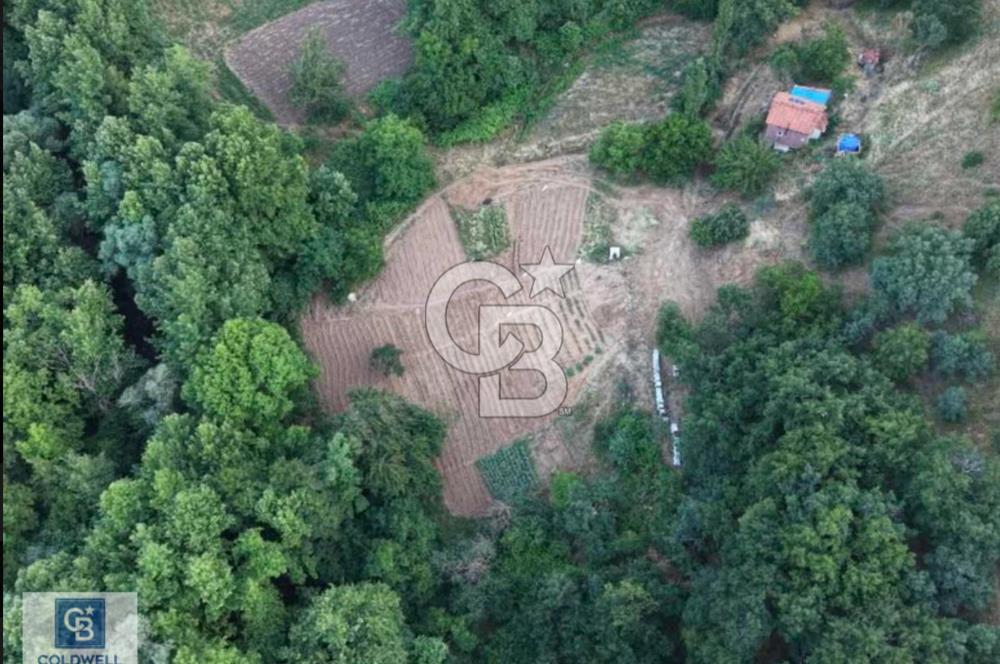 CB BLACK'TEN OSMANGAZİ ÇAYBAŞIN'DA SATILIK FIRSAT ARAZİ