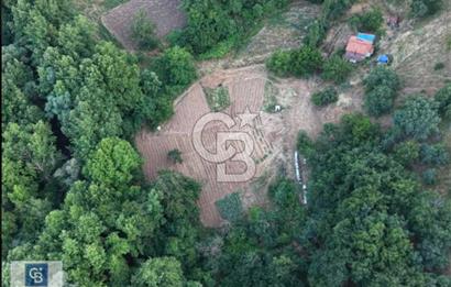 CB BLACK'TEN OSMANGAZİ ÇAYBAŞIN'DA SATILIK FIRSAT ARAZİ