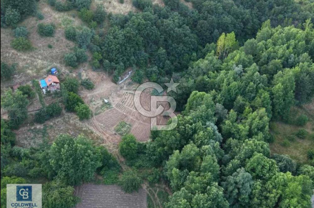 CB BLACK'TEN OSMANGAZİ ÇAYBAŞIN'DA SATILIK FIRSAT ARAZİ