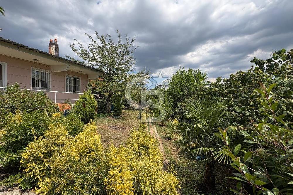 ÇATALCA ÇANAKÇA SATILIK TAPUYA İŞLİ MÜSTAKİL EV
