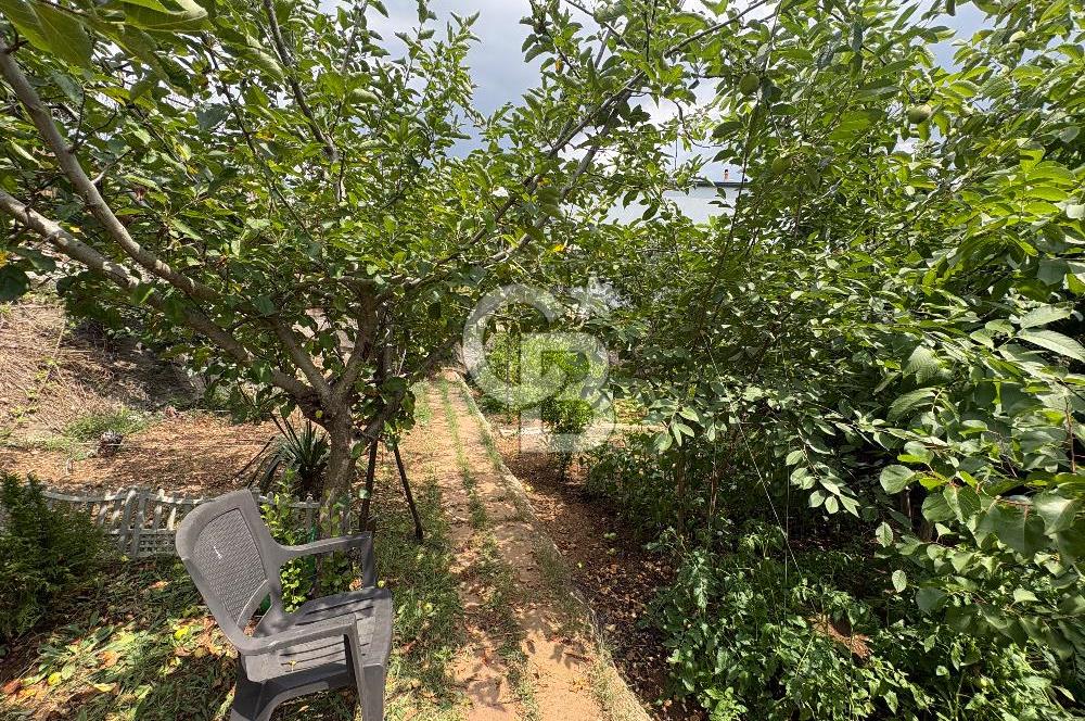 ÇATALCA ÇANAKÇA SATILIK TAPUYA İŞLİ MÜSTAKİL EV