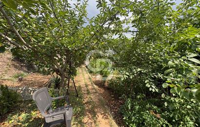 ÇATALCA ÇANAKÇA SATILIK TAPUYA İŞLİ MÜSTAKİL EV