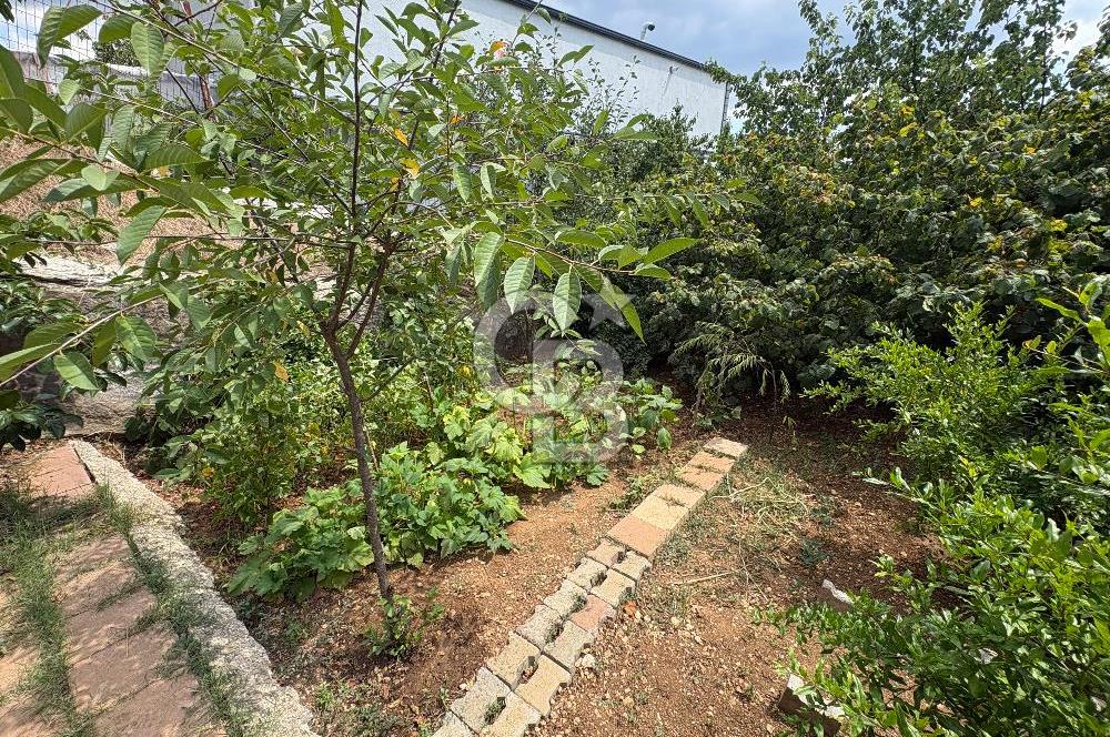 ÇATALCA ÇANAKÇA SATILIK TAPUYA İŞLİ MÜSTAKİL EV